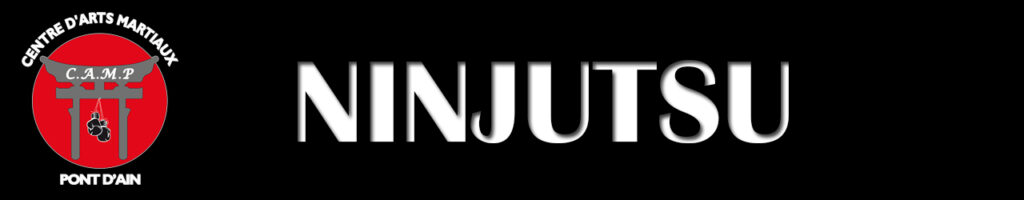Section Ninjutsu