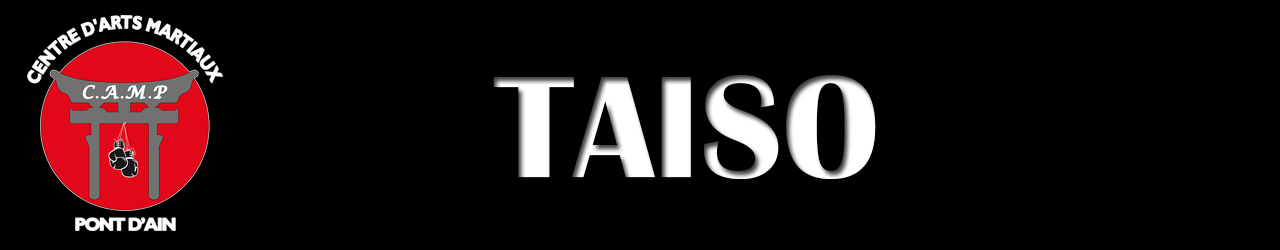 Section Taiso